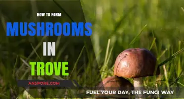 Mastering Mushroom Farming in Trove: Tips for Bountiful Harvests