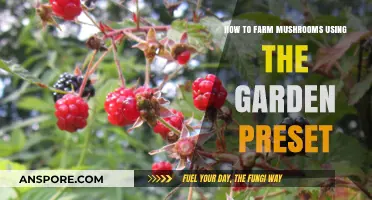 Master Mushroom Farming: Easy Steps Using Your Garden Preset