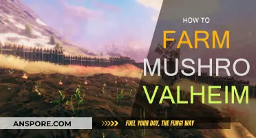 Valheim: Mushroom Farming Guide for Beginners