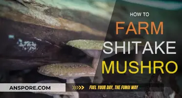 The Ultimate Guide to Farming Shiitake Mushrooms
