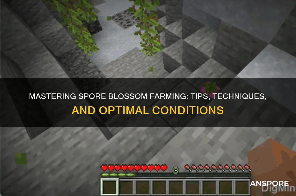 how to farm spore blossom