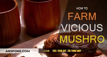 Grow Vicious Mushrooms: A Comprehensive Farming Guide
