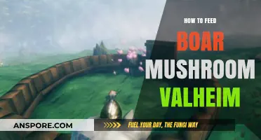 Mastering Boar Mushroom Feeding in Valheim: Tips for Success