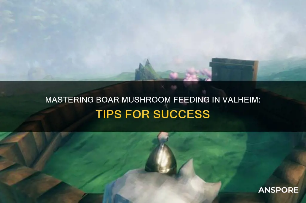 how to feed boar mushroom valheim