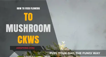 Feeding Flowers to Mushroom CKWs: A Step-by-Step Guide