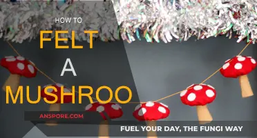 Felting Fun: Create Mushrooms with Ease