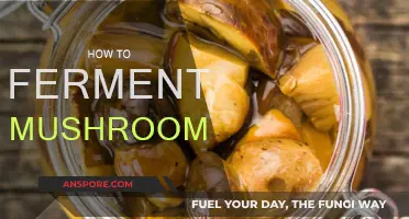 Fermenting Mushrooms: A Step-by-Step Guide to Success