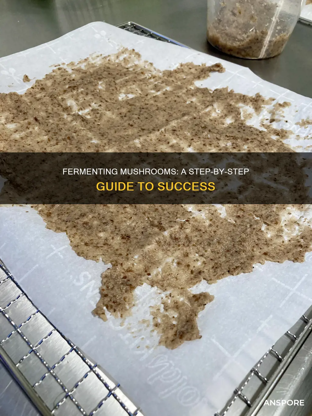 how to ferment mushrooms