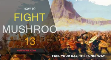 Battling Mushroom 13: Strategies for Success