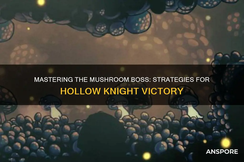 how to fight mushroom boss hollow knight