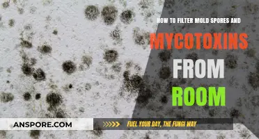 Effective Air Purification: Removing Mold Spores and Mycotoxins from Your Room