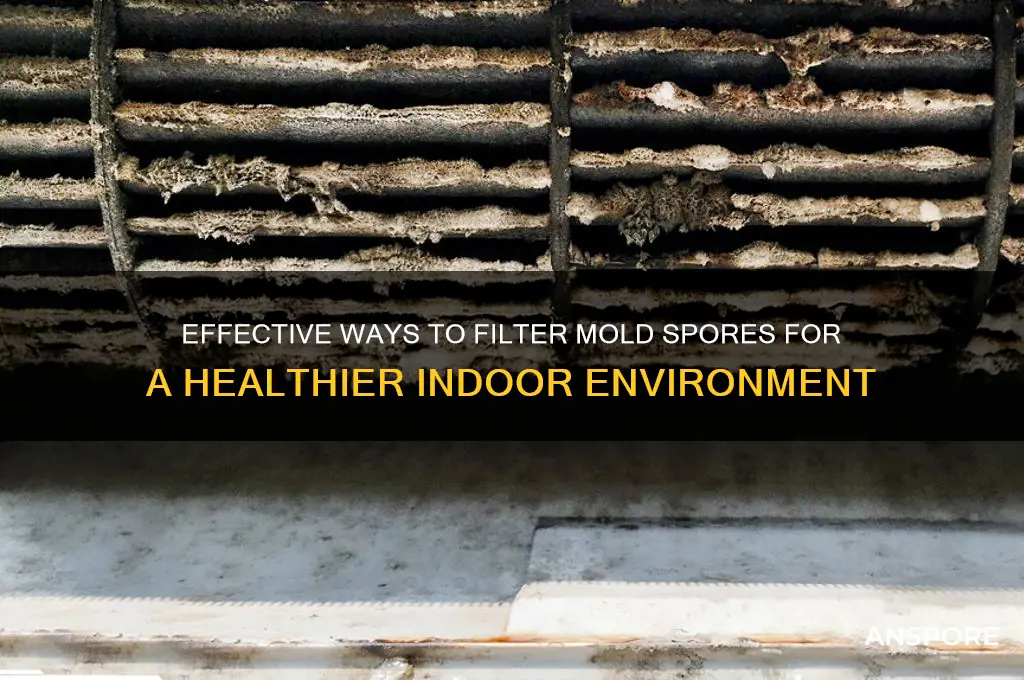 how to filter mold spores