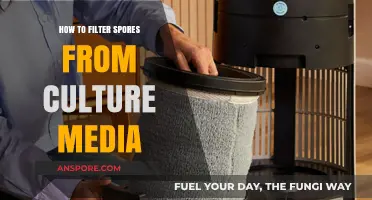 Effective Techniques for Filtering Spores from Culture Media in Labs
