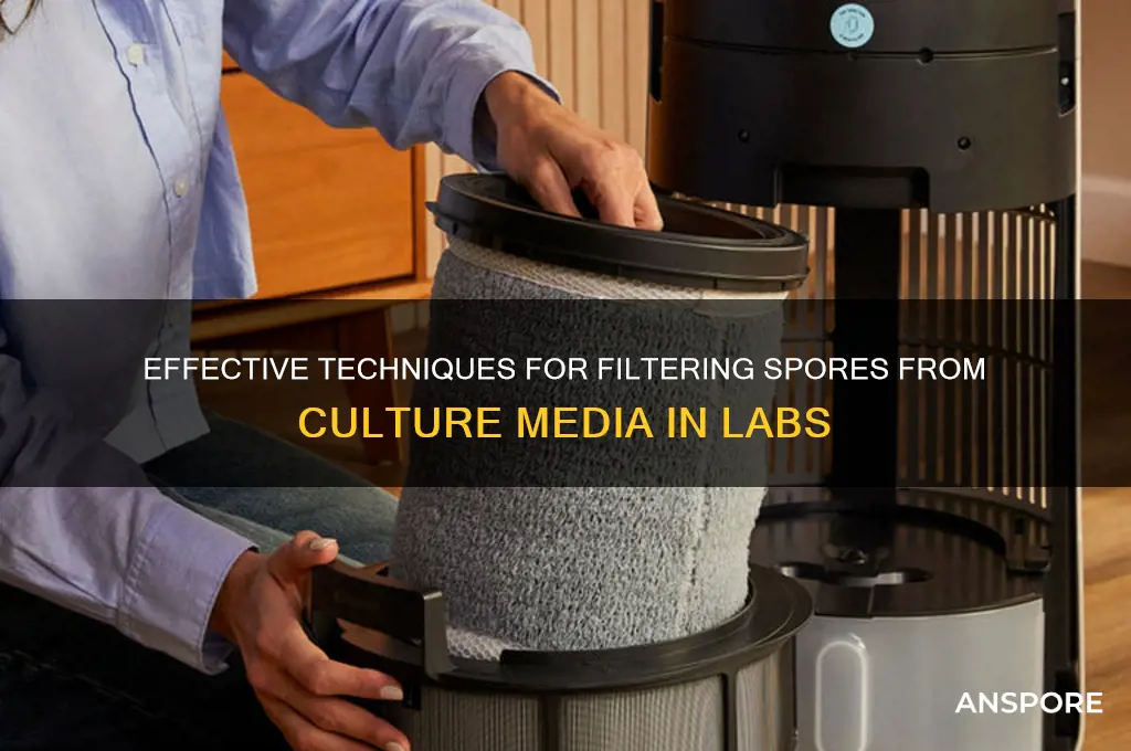 how to filter spores from culture media