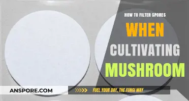 Effective Mushroom Cultivation: Mastering Spore Filtration Techniques for Optimal Growth