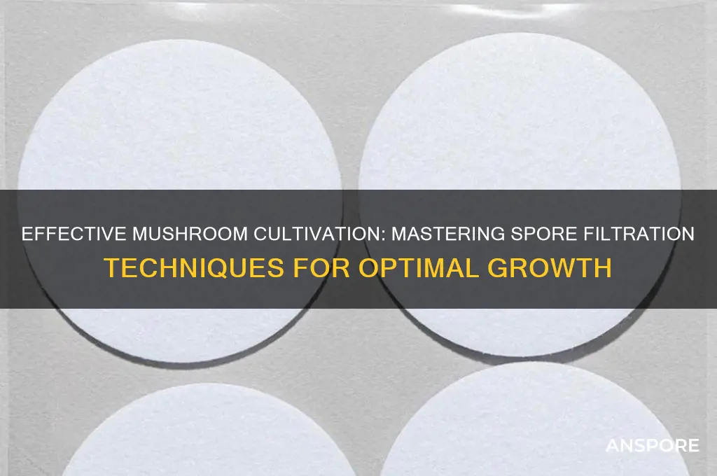 how to filter spores when cultivating mushrooms