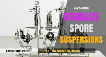 Effective Techniques for Filtering and Sterilizing Spore Suspensions Safely