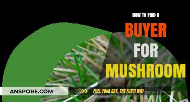 Finding Mushroom Buyers: A Guide to Selling Your Fungal Harvest