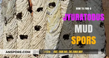 Discover Jyuratodus Mud Spores: Essential Tips for Monster Hunter Success