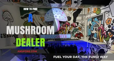 Finding a Reliable Mushroom Dealer: Tips and Safety Guidelines