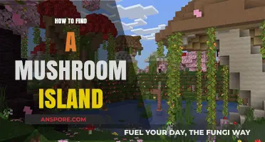 Discovering Mushroom Islands: A Guide to Locating These Rare Biomes