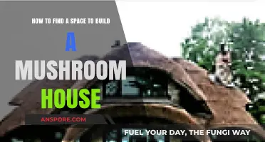 Discovering the Perfect Spot to Build Your Mushroom House