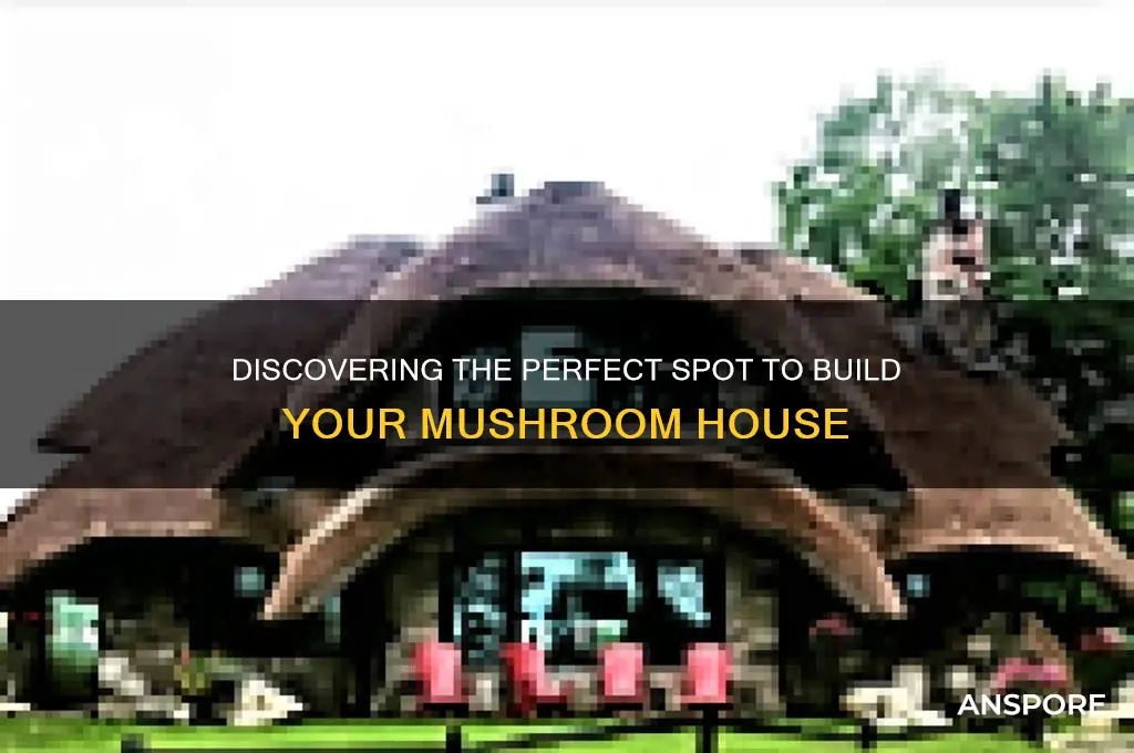 how to find a space to build a mushroom house