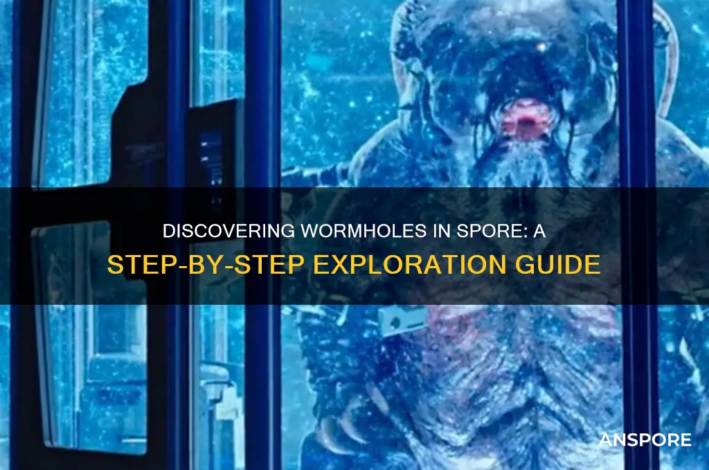 how to find a wormhole in spore