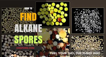 Discovering Alkane Spores: A Comprehensive Guide to Locating These Unique Organisms