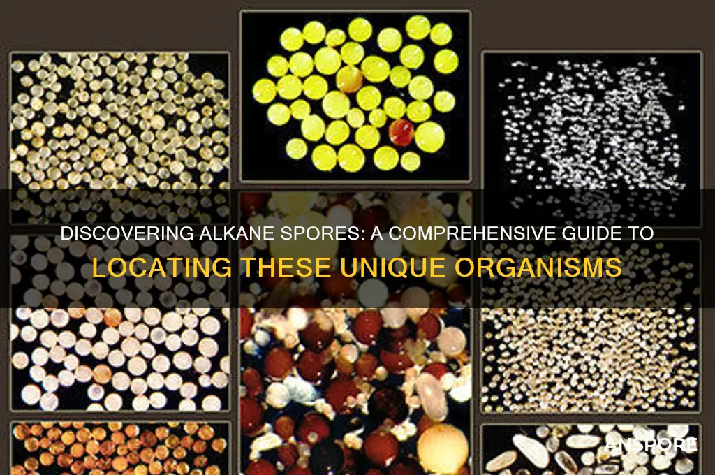 how to find alkane spores