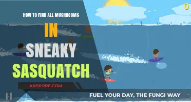 Discover Every Mushroom in Sneaky Sasquatch: A Comprehensive Guide