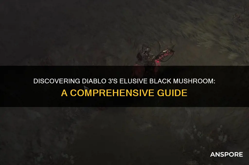 how to find black mushroom diablo 3
