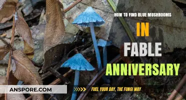 Discovering Blue Mushrooms in Fable Anniversary: A Comprehensive Guide