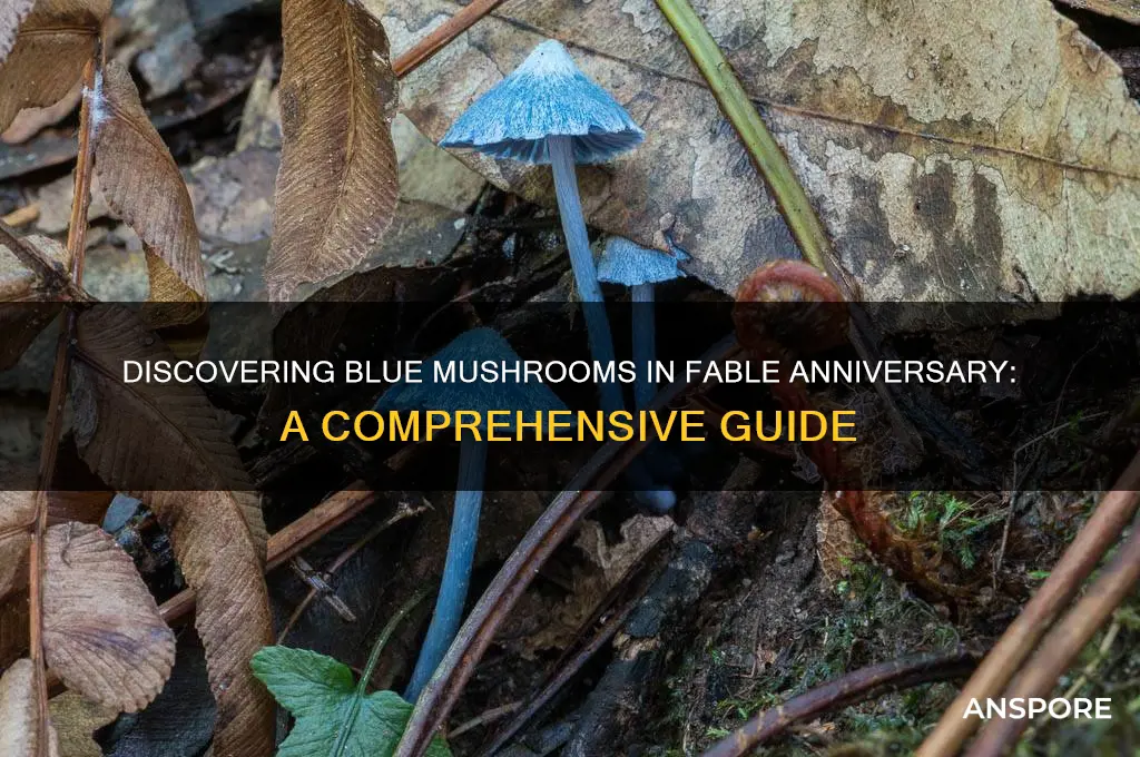 how to find blue mushrooms in fable anniversary