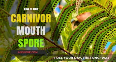 Discovering Carnivorous Plant Mouth Spores: A Step-by-Step Guide