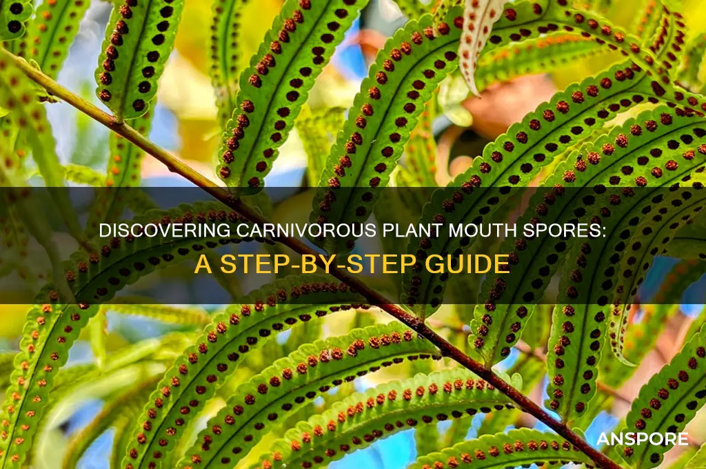 how to find carnivor mouth spore