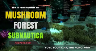 Finding Cuddlefish Egg Mushroom Forest in Subnautica: A Guide