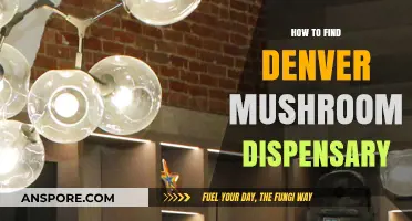 Discovering Denver's Best Mushroom Dispensaries: A Comprehensive Guide