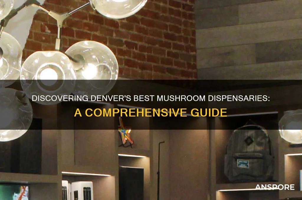 how to find denver mushroom dispensary