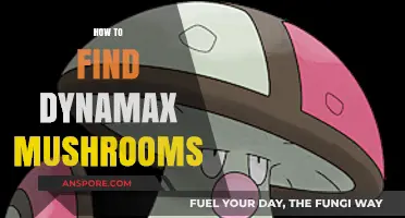 Discovering Dynamax Mushrooms: A Comprehensive Guide to Finding Them