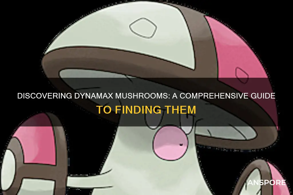 how to find dynamax mushrooms