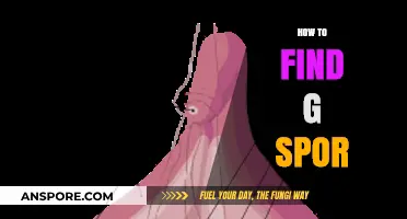 Discovering G Spot: A Comprehensive Guide to Finding Pleasure