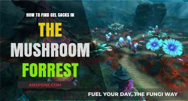 Discovering Gel Sacks in the Mushroom Forest: A Step-by-Step Guide