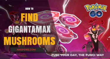 Gigantamax Mushrooms: Ultimate Guide to Finding These Rare Treasures