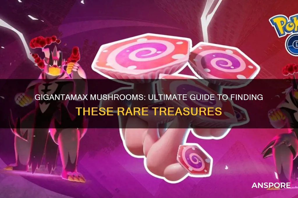how to find gigantamax mushrooms