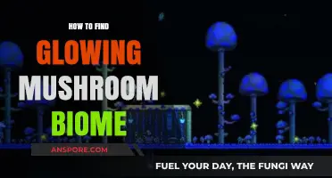 Discovering the Glowing Mushroom Biome: Tips and Tricks for Exploration