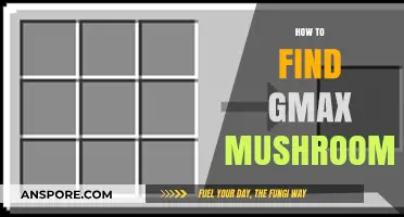 Discovering Gmax Mushrooms: Expert Tips for Locating This Rare Fungus
