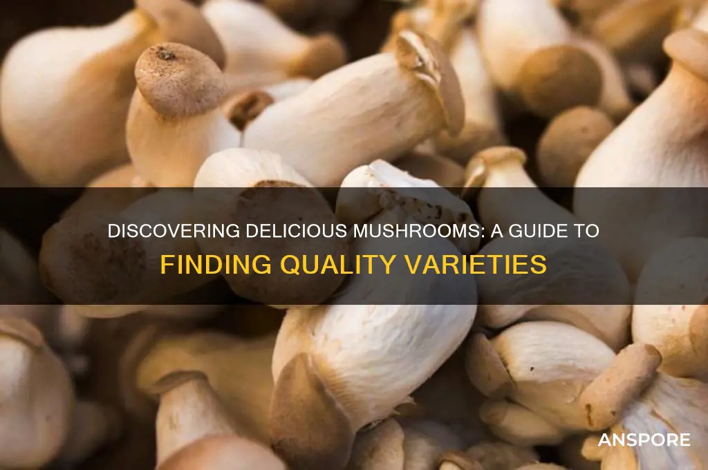 how to find good mushroom