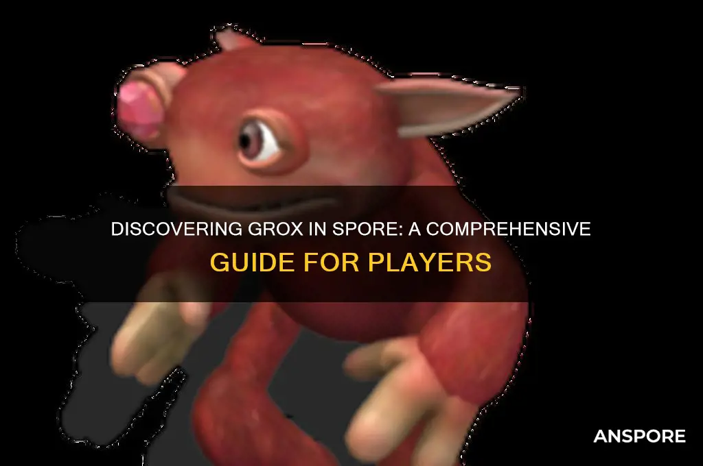 how to find grox in spore