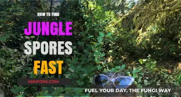 Quickly Locate Jungle Spores: Proven Tips for Efficient Foraging